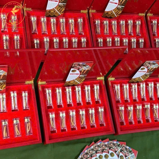 Đông Trùng Hạ Thảo Tây Tạng butan 